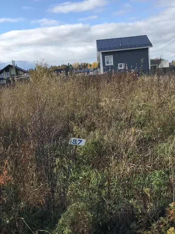 Участок в Ленинградская область, Волосовский район, Клопицкое с/пос, ... - Фото 1