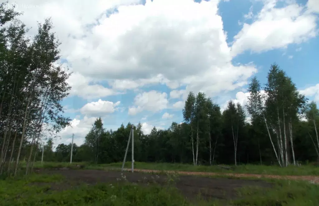 Участок в Раменский городской округ, деревня Кузяево (6 м) - Фото 1