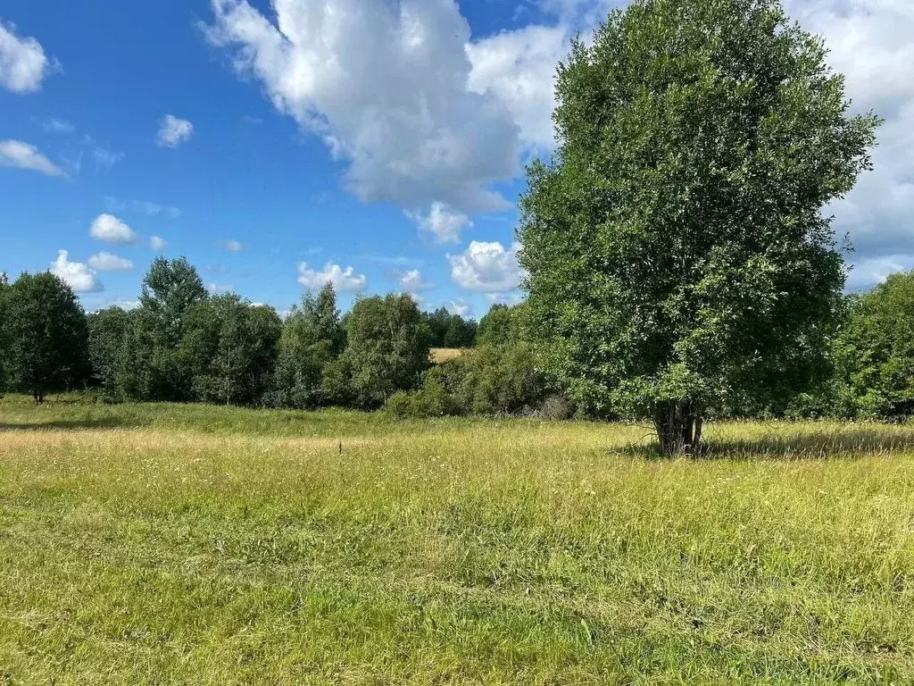 Участок в Новгородская область, Окуловка Славная ул., 26 (302.1 сот.) - Фото 2