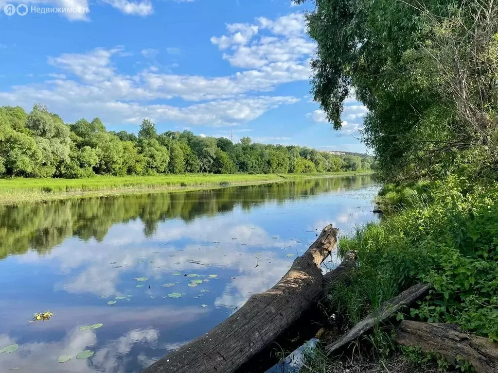 2-комнатная квартира: село Заборье, Луговая улица, 63 (55 м) - Фото 1