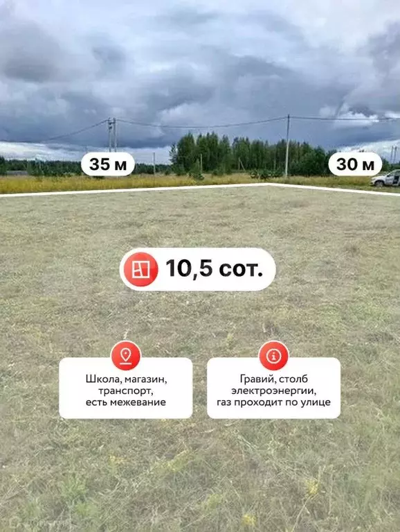 Участок в Костромская область, Кострома Соколиное Гнездо кп, 1 (10.5 ... - Фото 1