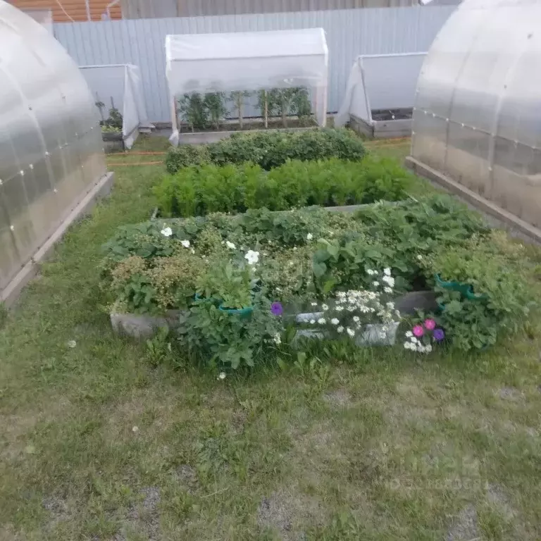 Участок в Свердловская область, Белоярский муниципальный округ, пос. ... - Фото 1