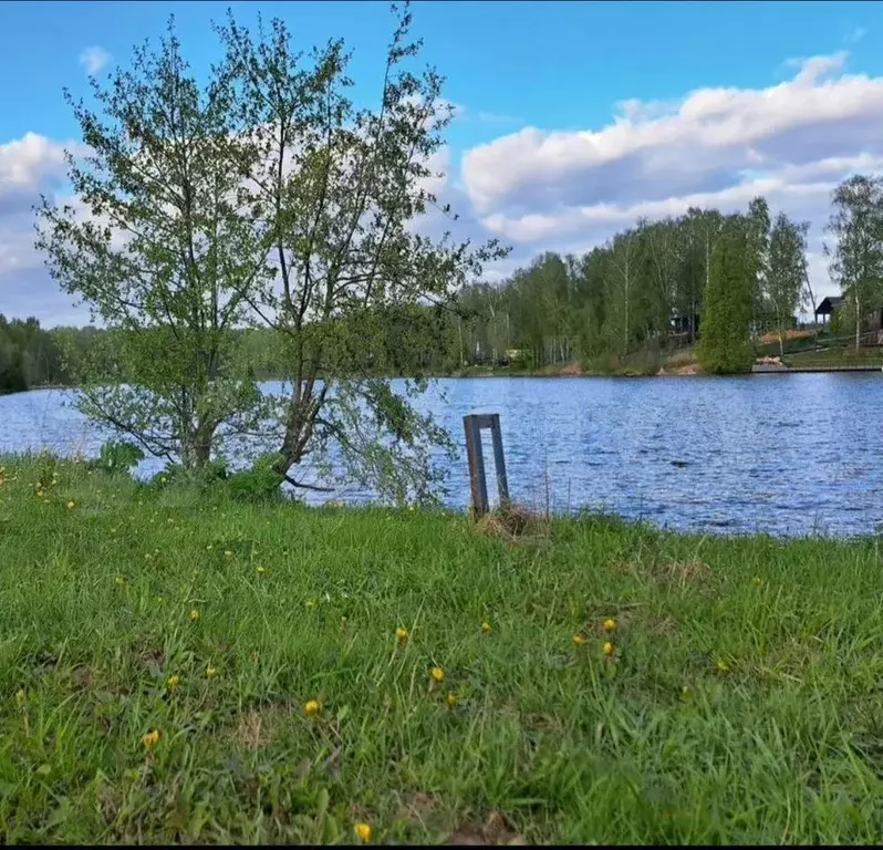 Участок в Московская область, Домодедово Фишер кп, 87 (6.0 сот.) - Фото 2