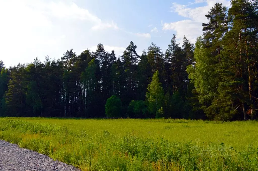 Участок в Московская область, Дмитровский муниципальный округ, ... - Фото 2