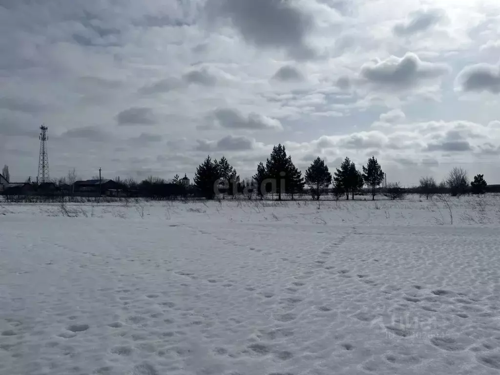 Участок в Воронежская область, Борисоглебский городской округ, с. ... - Фото 1