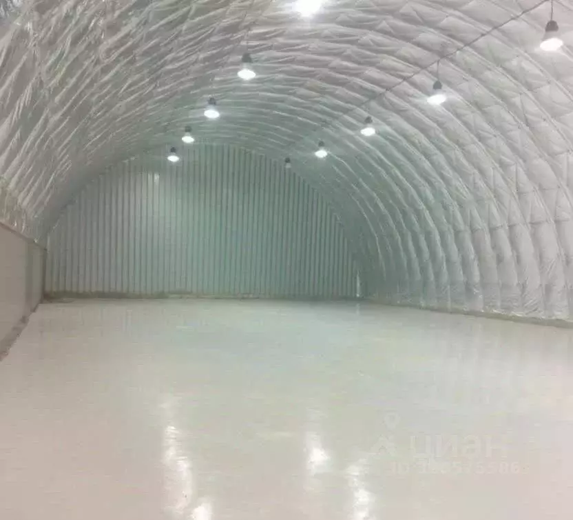 Склад в Московская область, Раменский муниципальный округ, с. Боршева ... - Фото 1