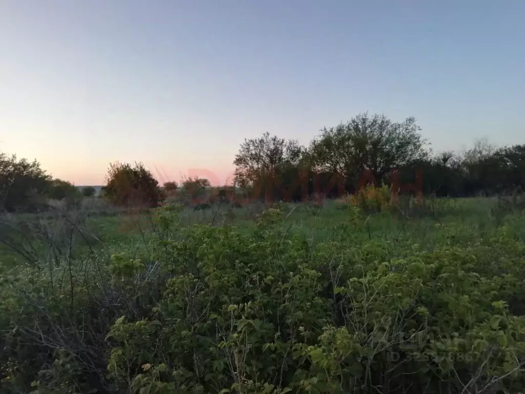 Участок в Ростовская область, Октябрьский район, пос. Персиановский ... - Фото 2
