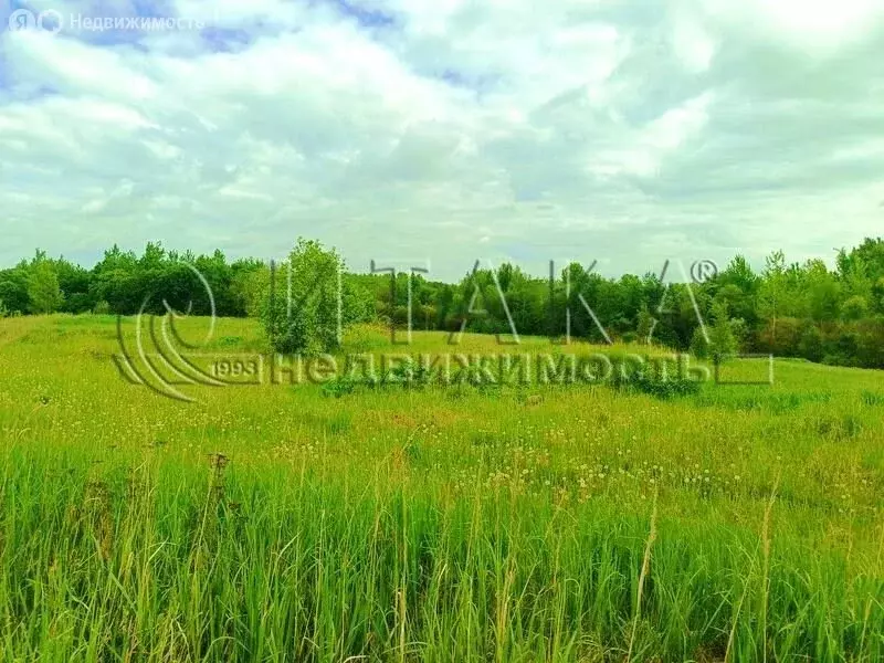 Участок в деревня Родина, улица Дружбы (30 м) - Фото 2