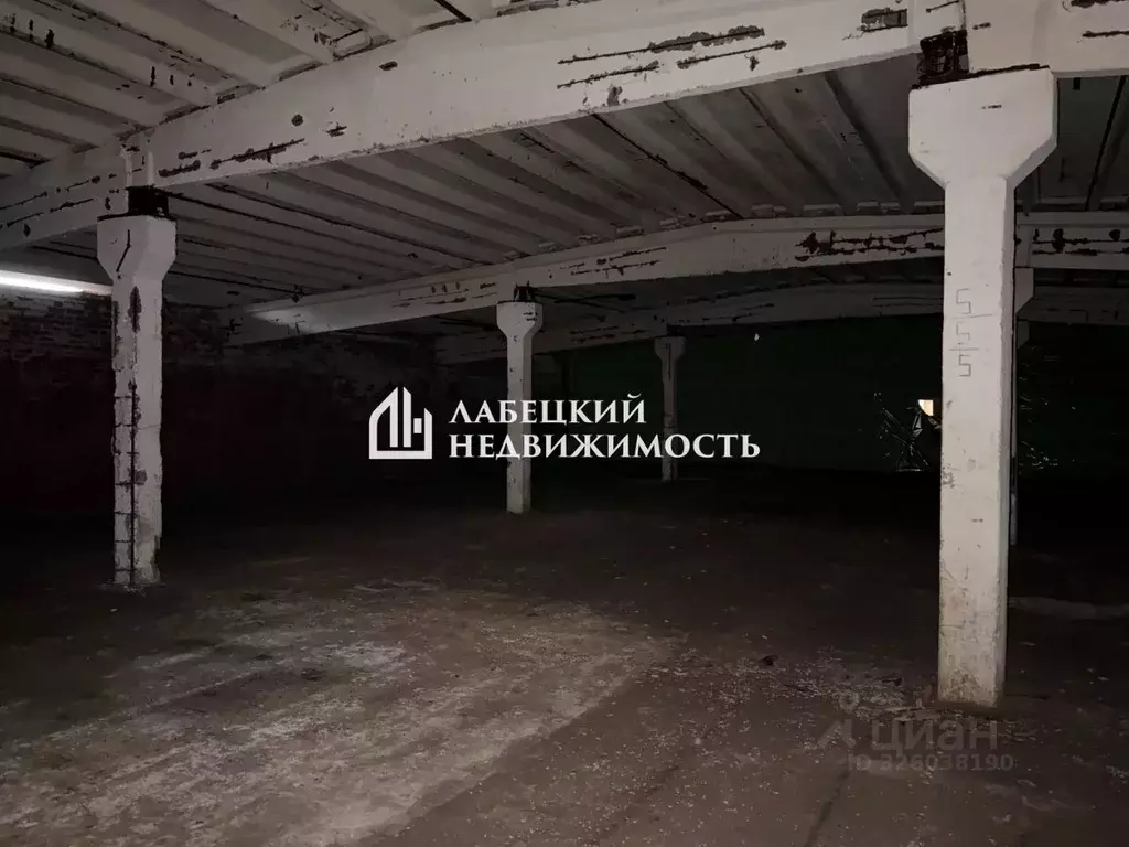 Помещение свободного назначения в Ленинградская область, Волосовский ... - Фото 2