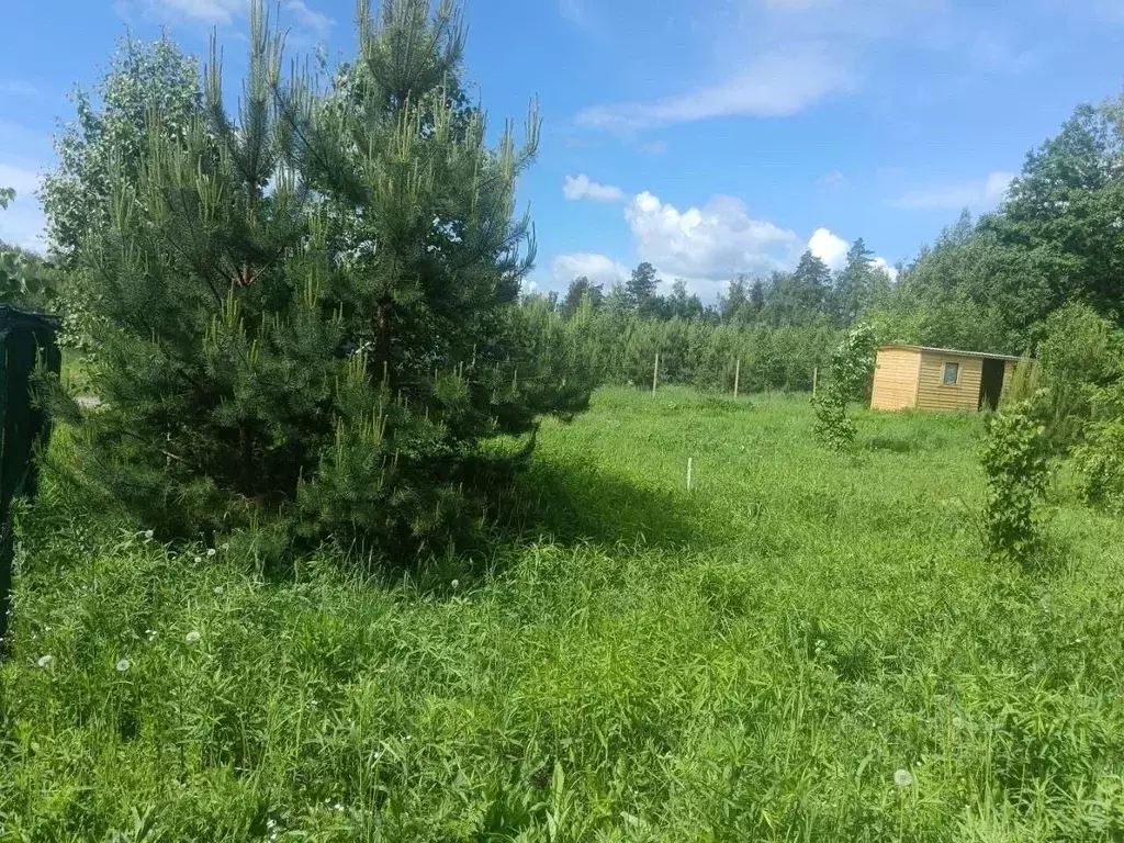 Участок в Московская область, Ступино городской округ, Починки-2 кп  ... - Фото 2
