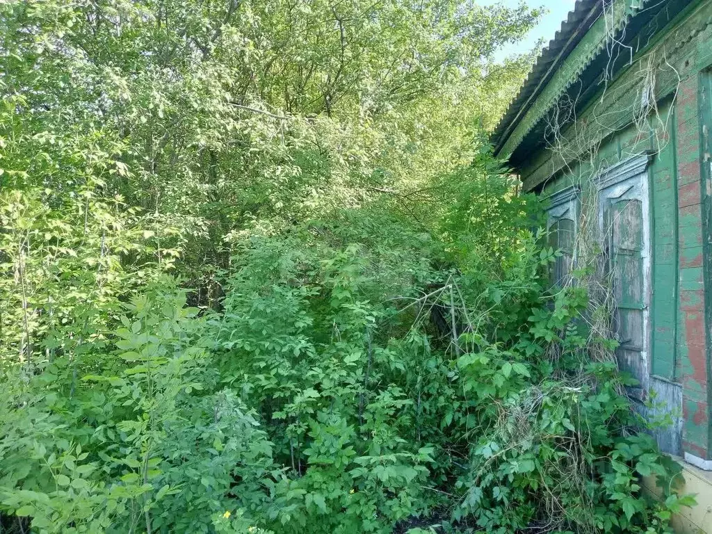 Участок в Саратовская область, Балашов ул. Тараканова, 16 (2.5 сот.) - Фото 1