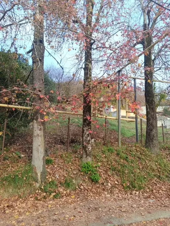 Участок в Краснодарский край, Сочи городской округ, с. Орел-Изумруд ... - Фото 1