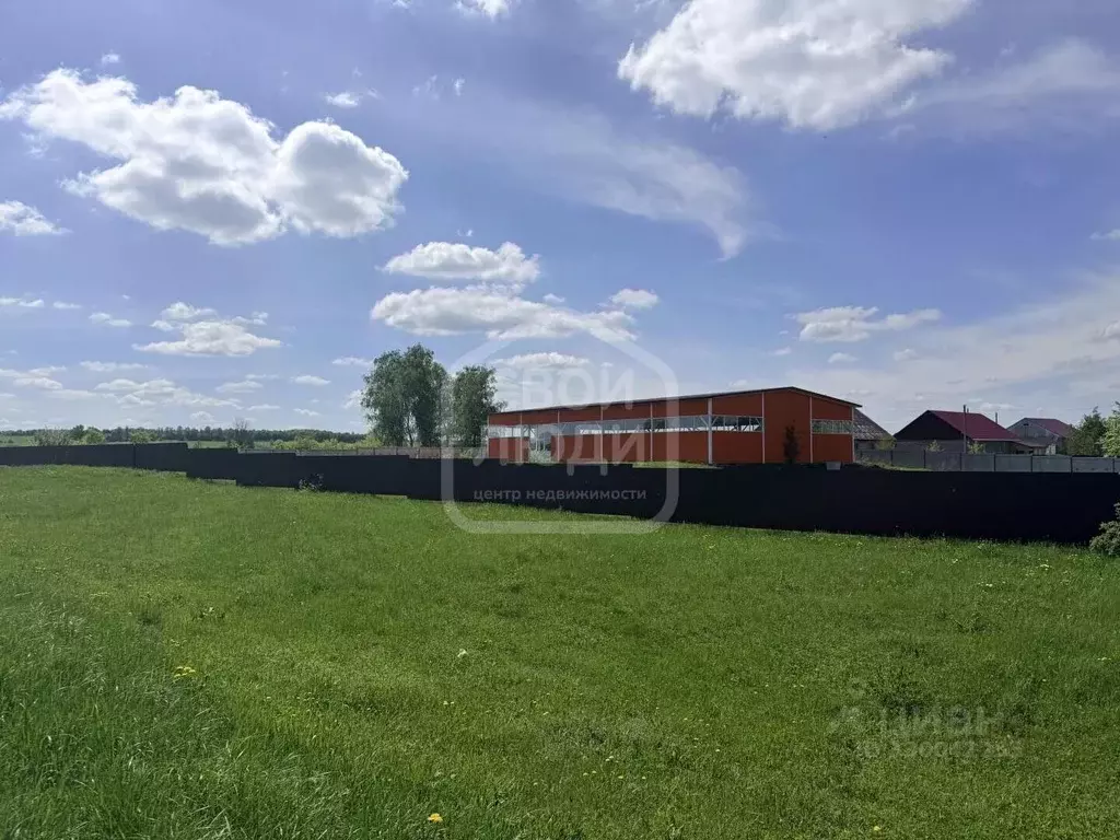 Помещение свободного назначения в Рязанская область, Пронский ... - Фото 1