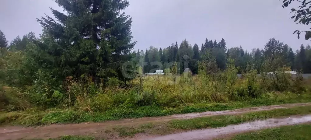 Участок в Коми, Корткеросский район, Додзь муниципальное образование, ... - Фото 1