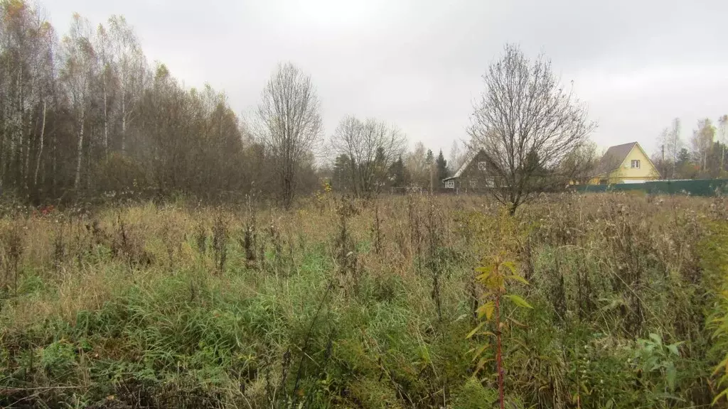 Участок в Московская область, Рузский муниципальный округ, д. Землино  ... - Фото 1