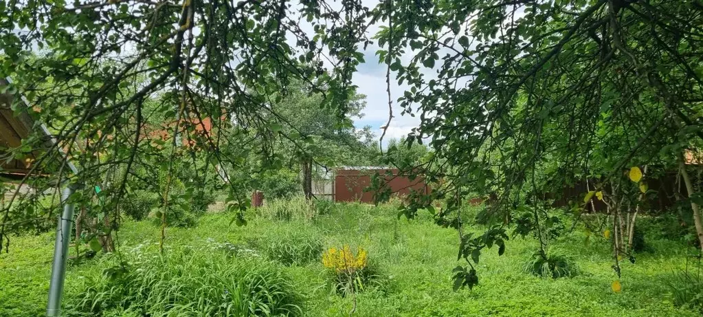 Дом в Московская область, Домодедово городской округ, д. Авдотьино ул. ... - Фото 0