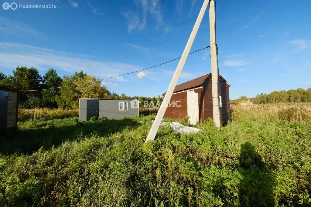Участок в деревня Криуша, Лесная улица, 89 (40 м) - Фото 2