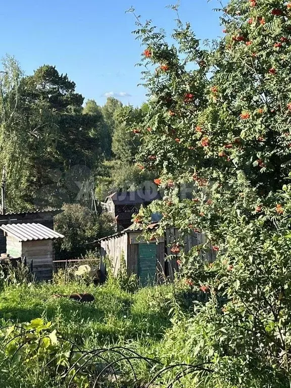 Участок в Томская область, Томск пл. Ленина (2.0 сот.) - Фото 0