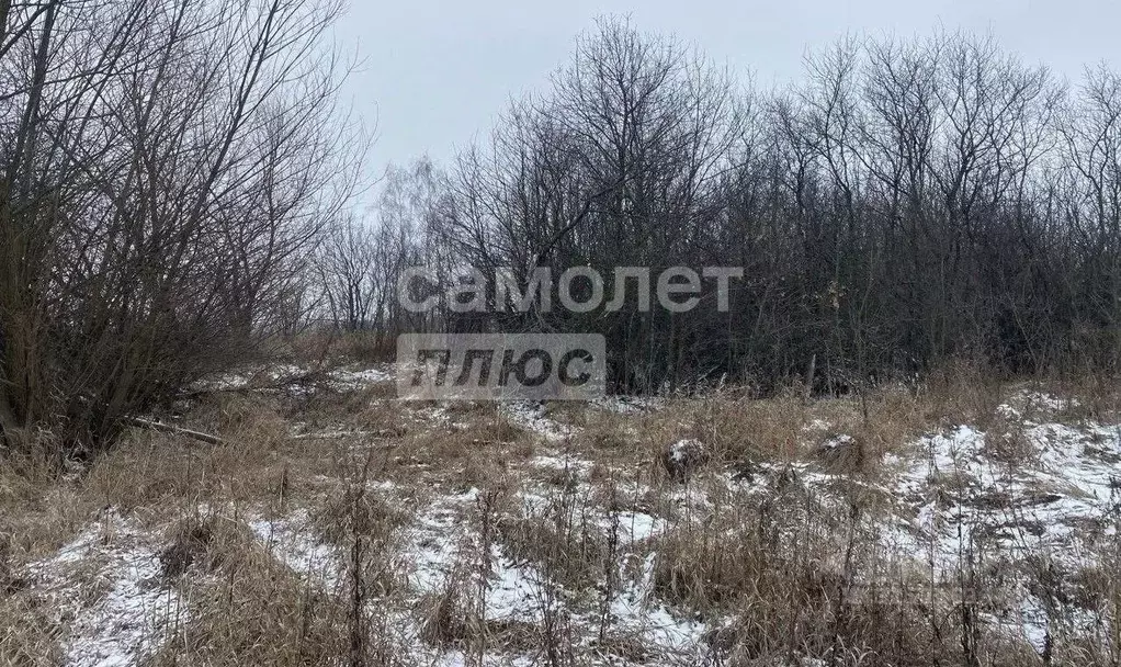 Участок в Марий Эл, Волжск Луговое-2 СНТ, 217 (6.0 сот.) - Фото 1