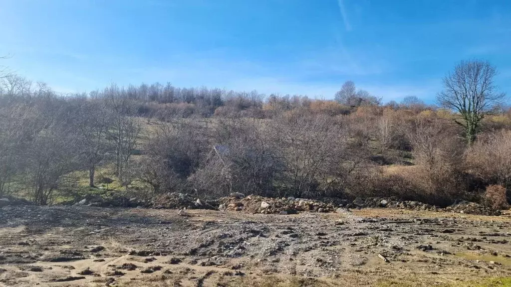 Участок в Краснодарский край, Сочи городской округ, с. ... - Фото 2
