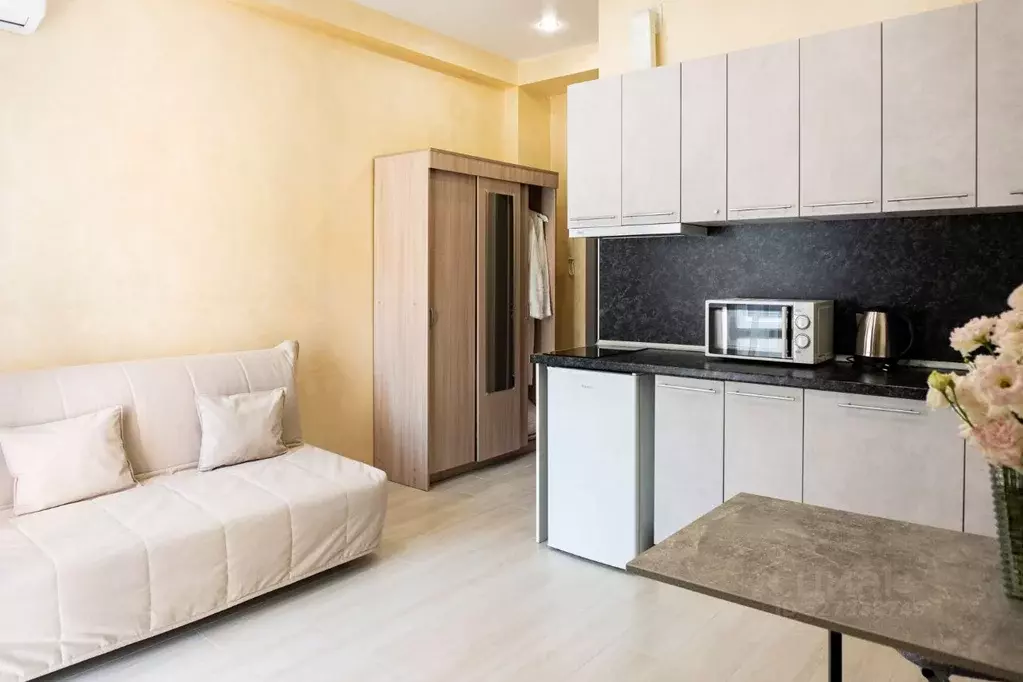 Студия Краснодарский край, Сочи ул. Чекменева, 18 (22.0 м) - Фото 1