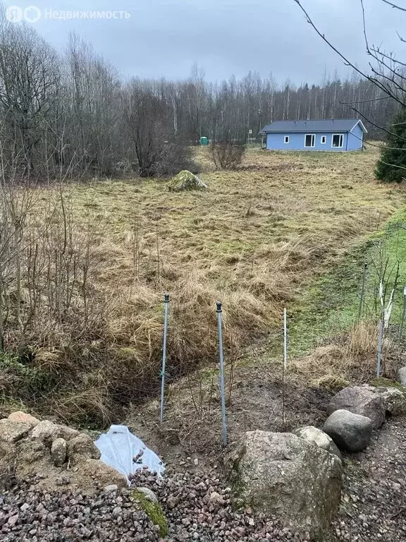 Участок в Выборгский район, Гончаровское сельское поселение, посёлок ... - Фото 1