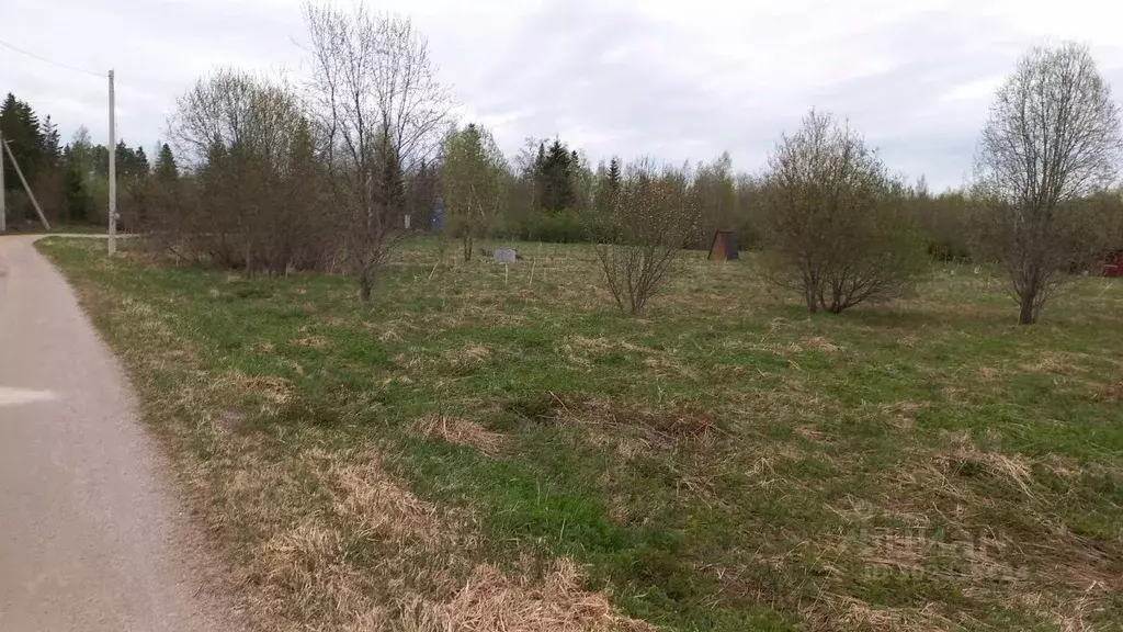 Участок в Ленинградская область, Приозерский район, Кузнечнинское ... - Фото 0