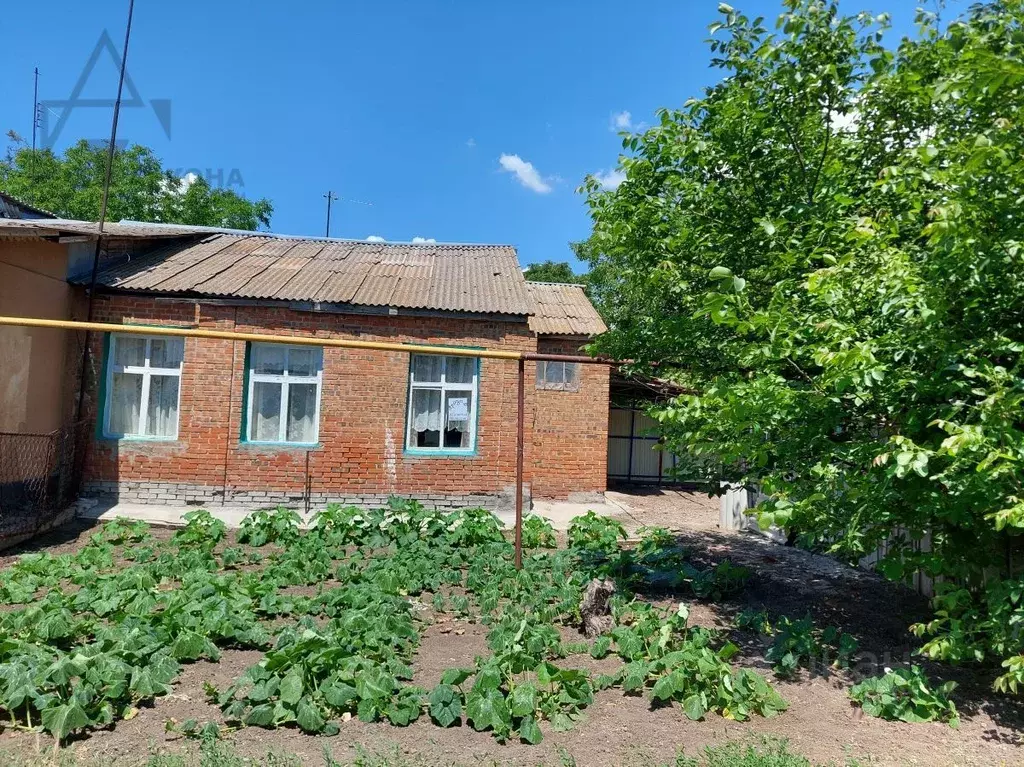 Поселок новоприморский ростовская область. Поселок новоприморский ростовская область. Новоприморский ростовская область. Таганрог поселок новоприморский. Поселок новоприморский ростовская область.