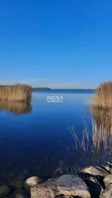 Дом в Ленинградская область, Выборгский район, Приморское городское ... - Фото 2