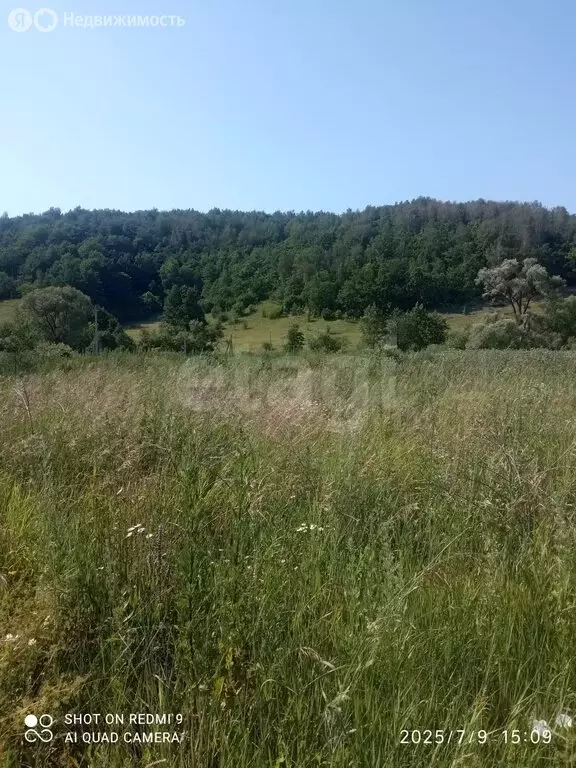 Участок в Республика Мордовия, село Лямбирь (13 м) - Фото 1