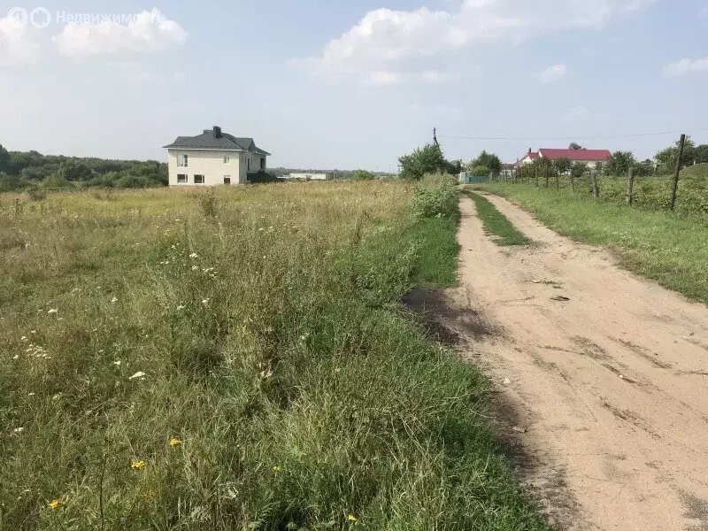 Участок в Рамонский район, село Новоживотинное (8 м) - Фото 1