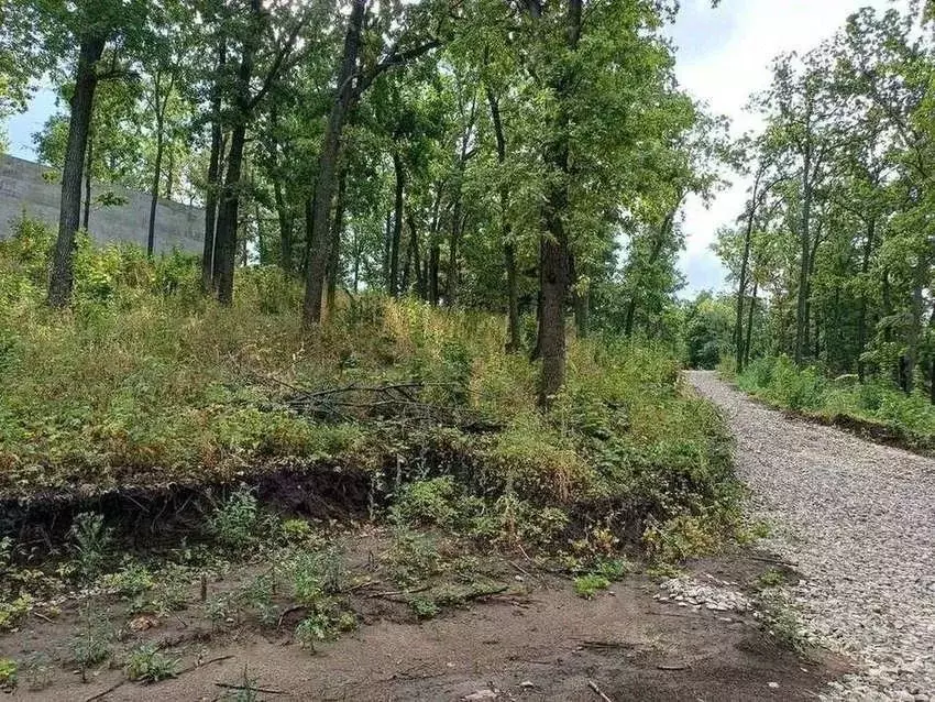 Участок в Самарская область, Тольятти Лесопарковое ш. (8.5 сот.) - Фото 2