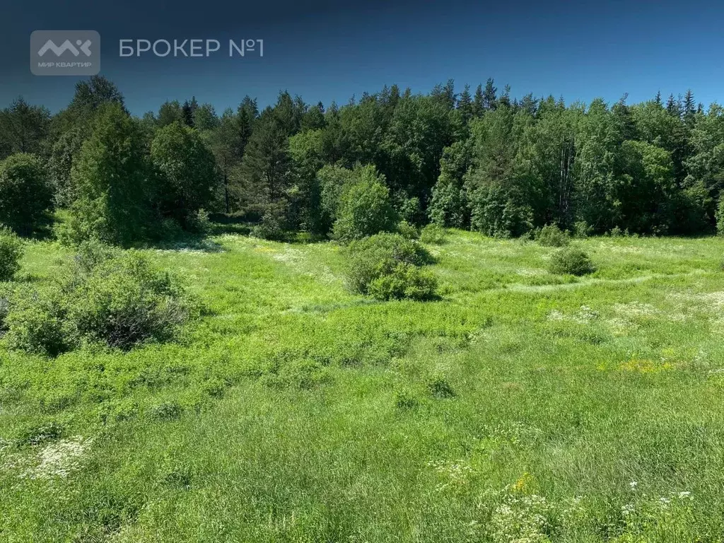 Участок в Ленинградская область, Приозерский район, Севастьяновское ... - Фото 2