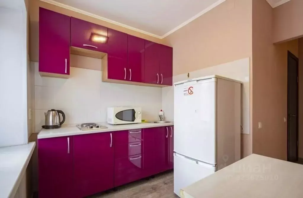 2-к кв. Красноярский край, Красноярск ул. Красной Армии, 28 (46.0 м) - Фото 1