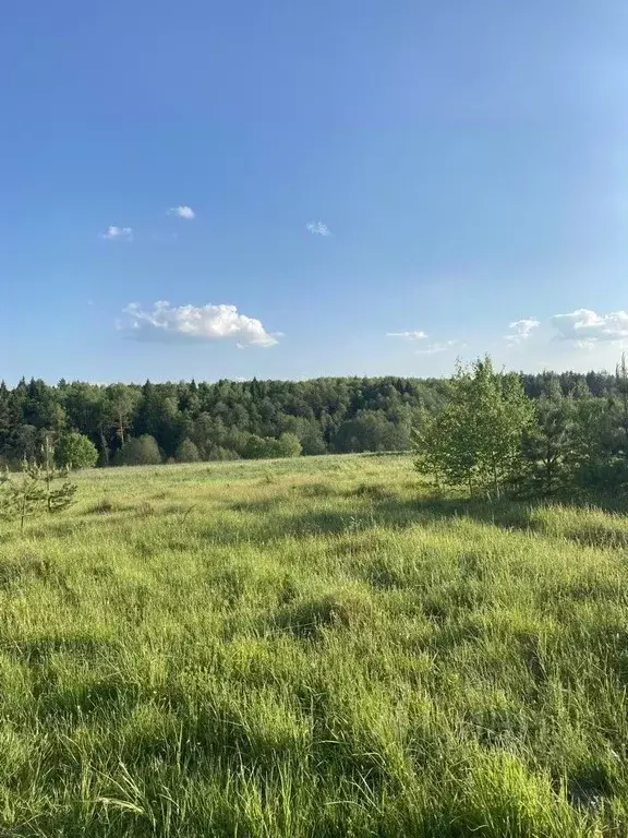 Участок в Московская область, Коломна городской округ, с. Дмитровцы ... - Фото 1