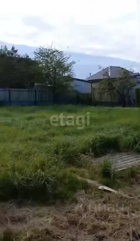 Участок в Калининградская область, Калининград Чайка СНТ, проезд ... - Фото 1