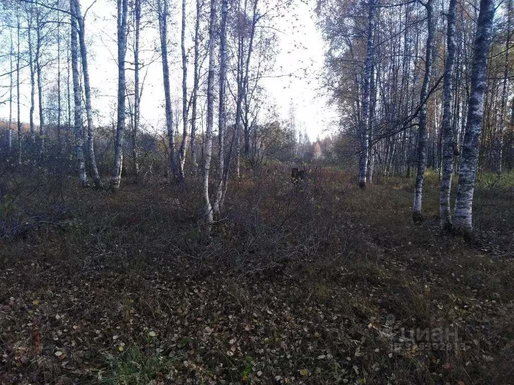 Участок в Ленинградская область, Выборгский район, Селезневское с/пос, ... - Фото 1