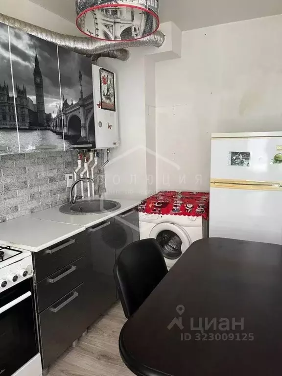 1-к кв. Калининградская область, Гурьевский муниципальный округ, пос. ... - Фото 2