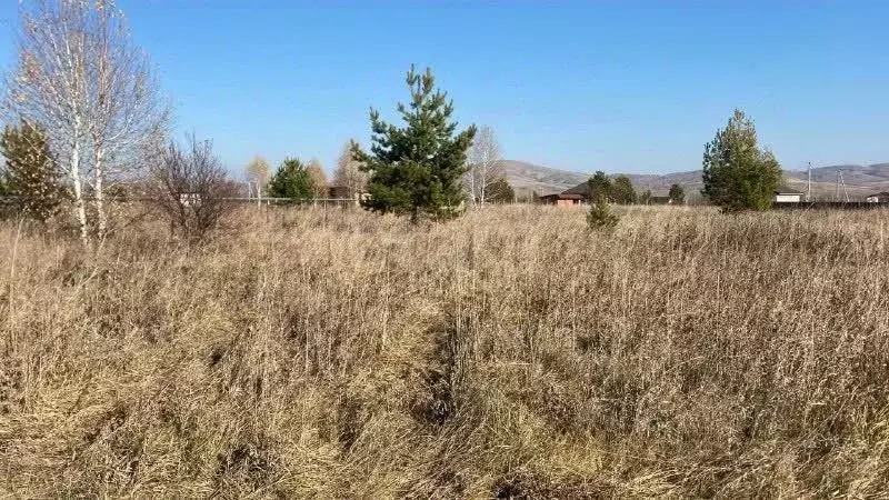 Участок в Алтай, Майминский район, с. Подгорное ул. Прибрежная (20.0 ... - Фото 1