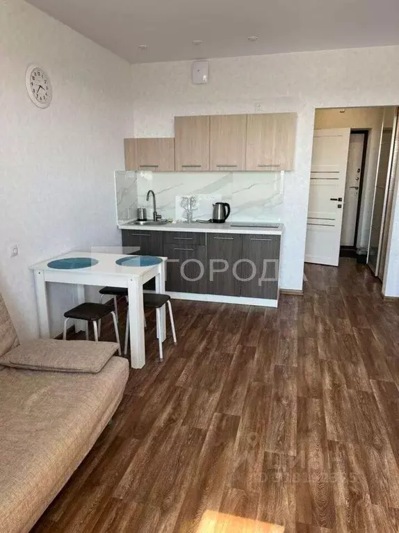 Студия Новосибирская область, Новосибирск ул. Кирова, 242 (30.0 м) - Фото 0