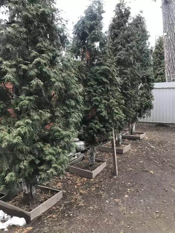 Дом в Московская область, Балашиха Ольгино мкр, ул. Третья, 16 (50 м) - Фото 2