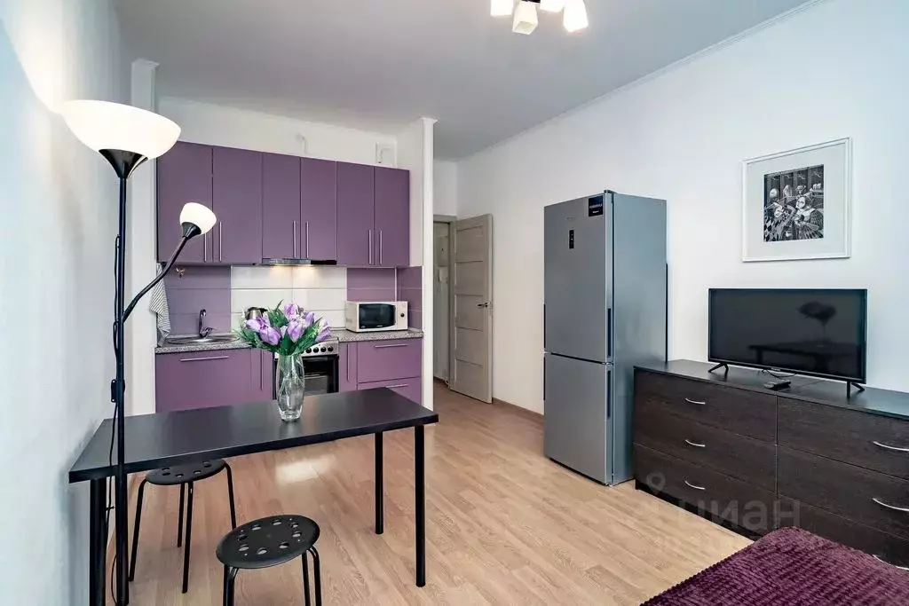 Студия Санкт-Петербург ул. Адмирала Черокова, 20 (24.0 м) - Фото 0