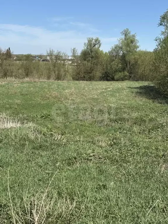 Участок в Орловская область, Орловский муниципальный округ, с. ... - Фото 1