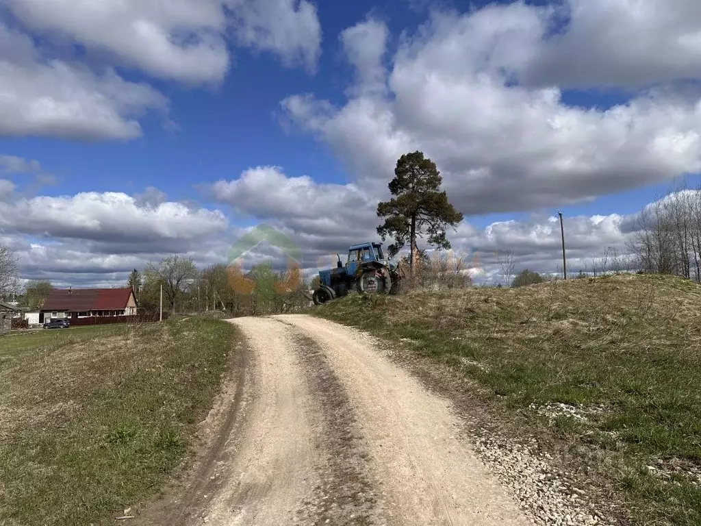 Участок в Ленинградская область, Волосовский район, Большеврудское ... - Фото 0