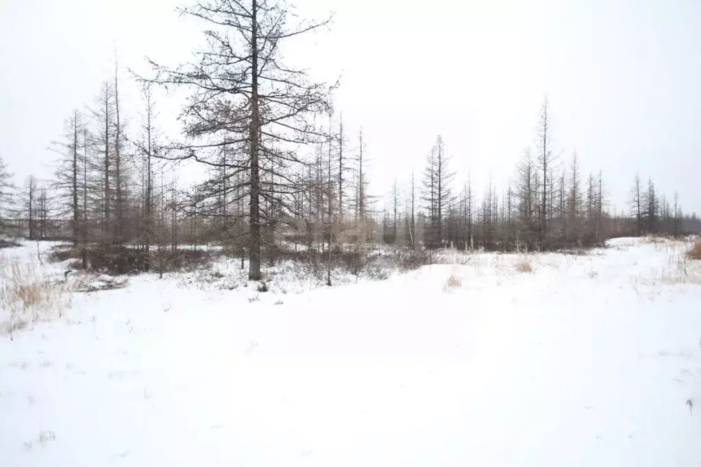 Участок в Ямало-Ненецкий АО, Новый Уренгой Титан ДНТ, ул. Теневая (6.0 ... - Фото 1