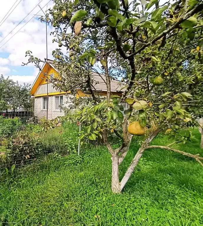 Дом в Псковская область, Псковский район, Середкинская волость, с. ... - Фото 1