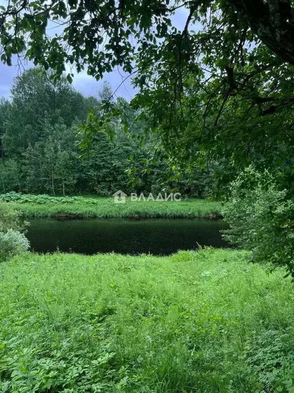 Участок в Ленинградская область, Лодейнопольский район, Алеховщинское ... - Фото 1