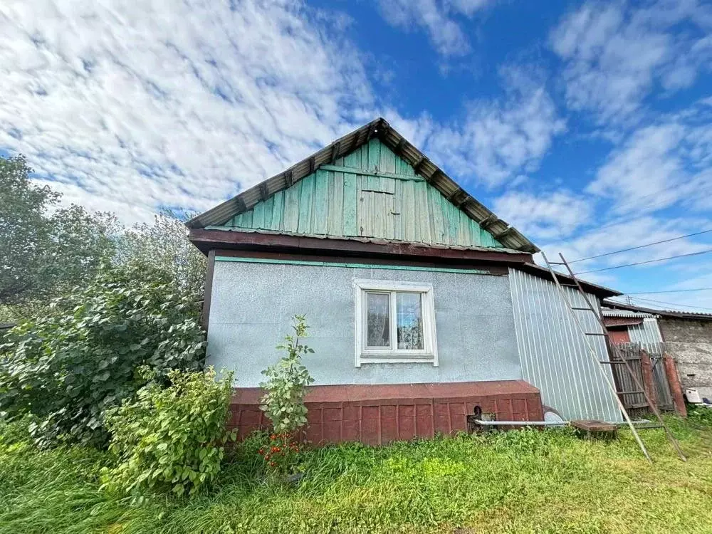 Дом в Амурская область, Белогорск ул. 1-я Стахановская, 15 (48 м) - Фото 2