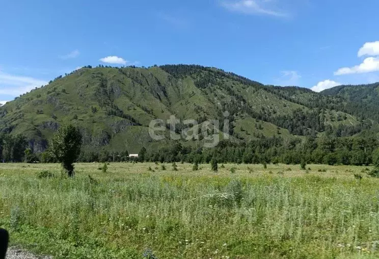 Участок в Алтай, Чемальский район, с. Анос  (14.0 сот.) - Фото 1