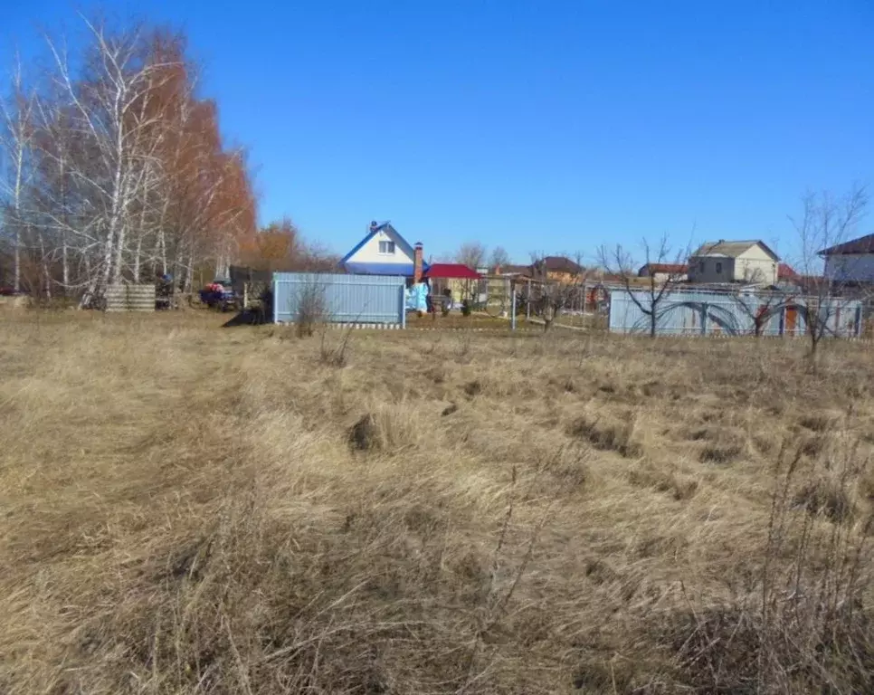 Участок в Саратовская область, Энгельсский район, Терновское ... - Фото 1